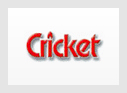 Cricket